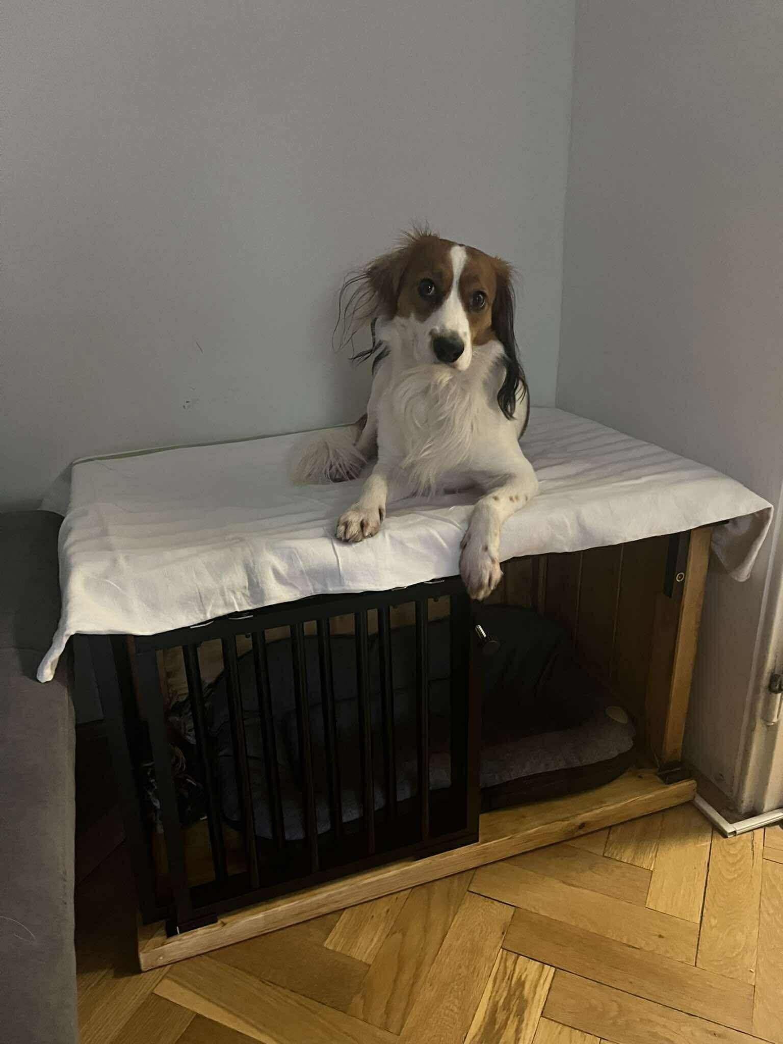 Interiérový box z masívu veľkosť: S, M, L, XL, XXL